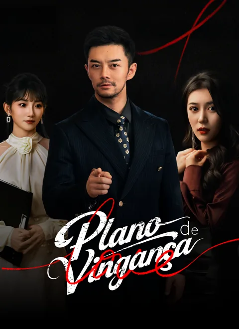Pôster de Plano de Vingança