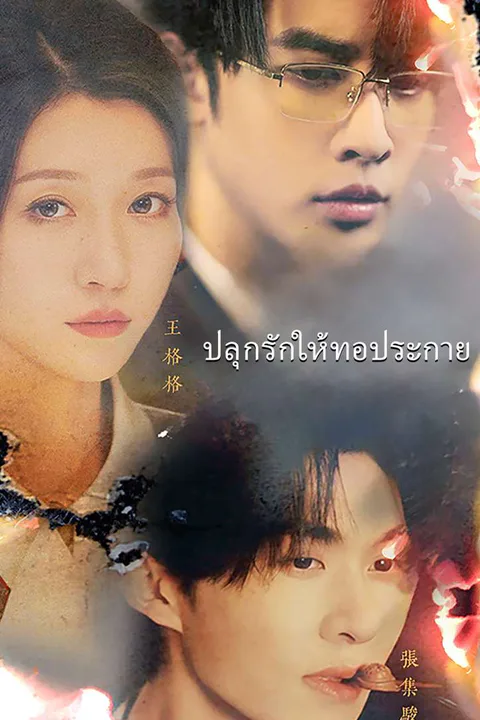 โปสเตอร์ ปลุกรักให้ทอประกาย