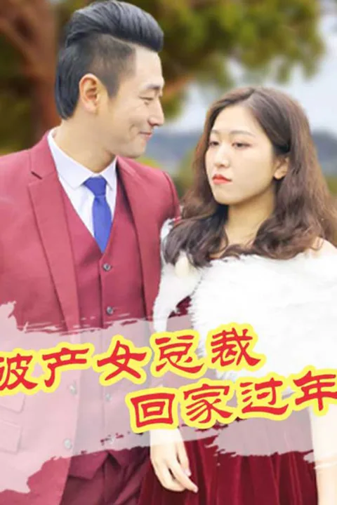 《破产女总裁回家过年》海报