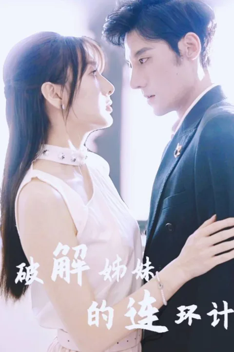 《破解姊妹的连环计》海报