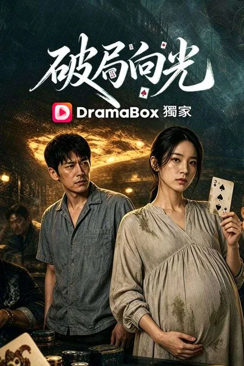 《破局向光》海報