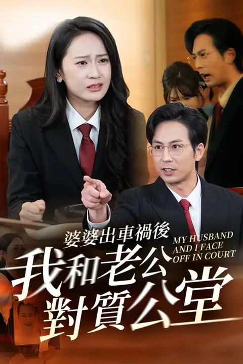 《婆婆出車禍後我和老公對質公堂》海報