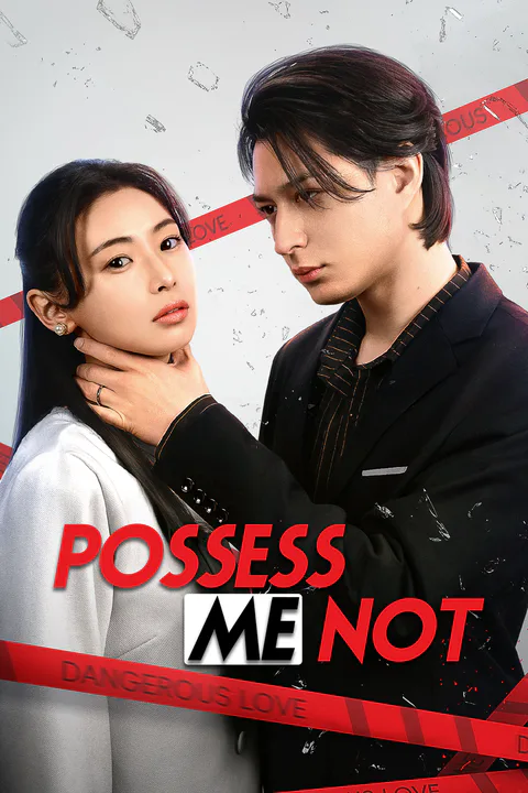 Possess Me Not poster