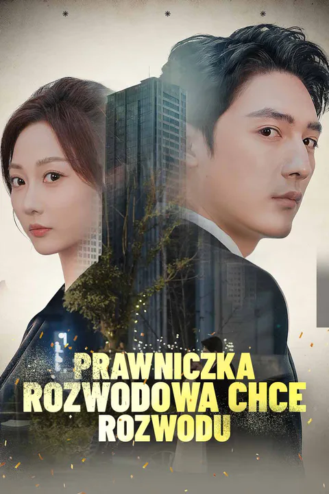 Prawniczka rozwodowa chce rozwodu – plakat
