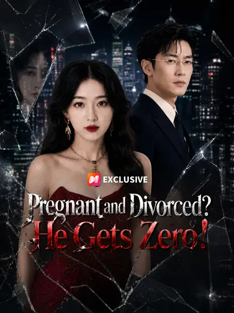 Pregnant and Divorced? He Gets Zero! poster