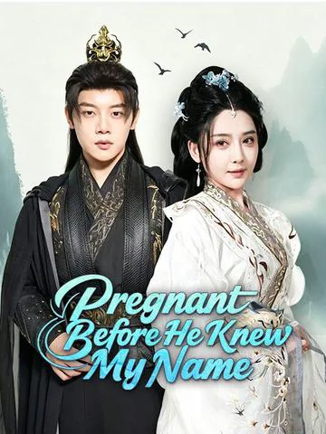 Pregnant Before He Knew My Name poster