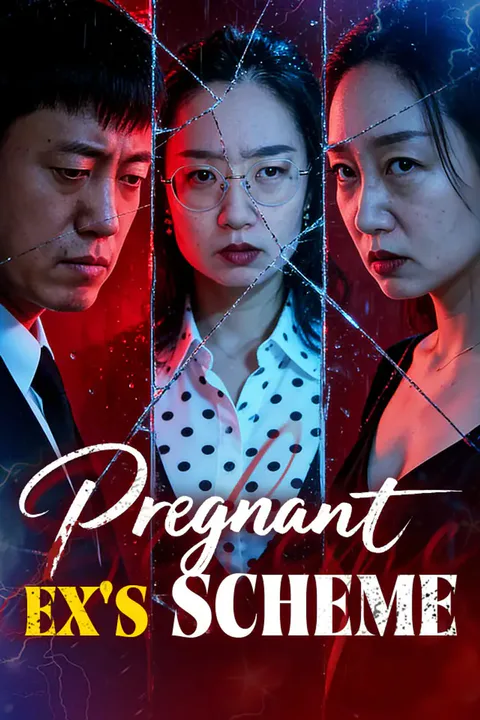 Pregnant Ex's Scheme poster