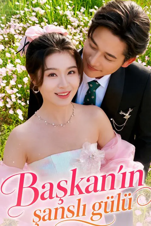 Pregnant with the CEO's Twins poster