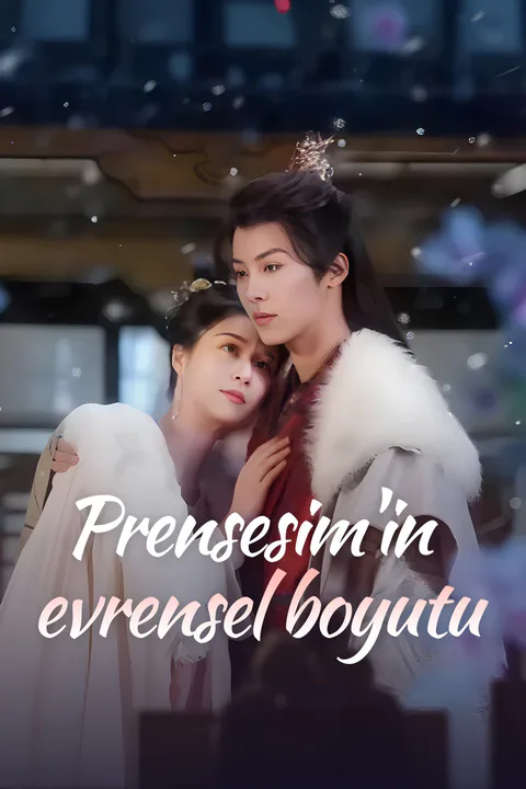 Prensesim'in evrensel boyutu afişi