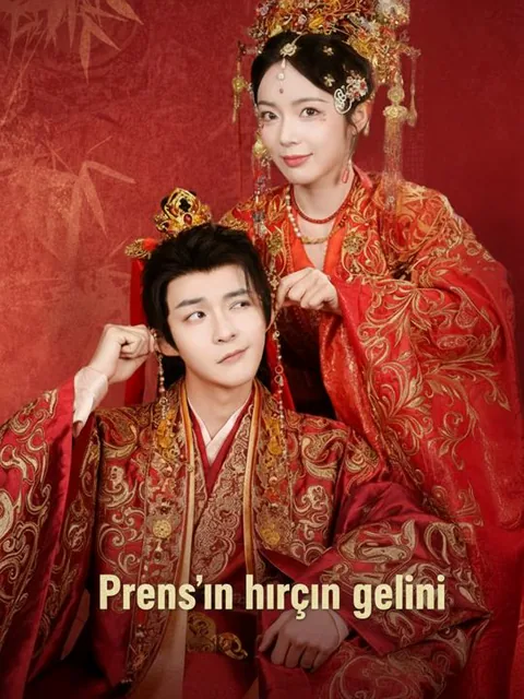 Prens'in hırçın gelini afişi