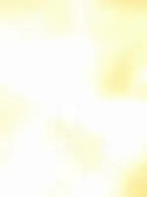 Prensin mucizevi şifacı gelini afişi