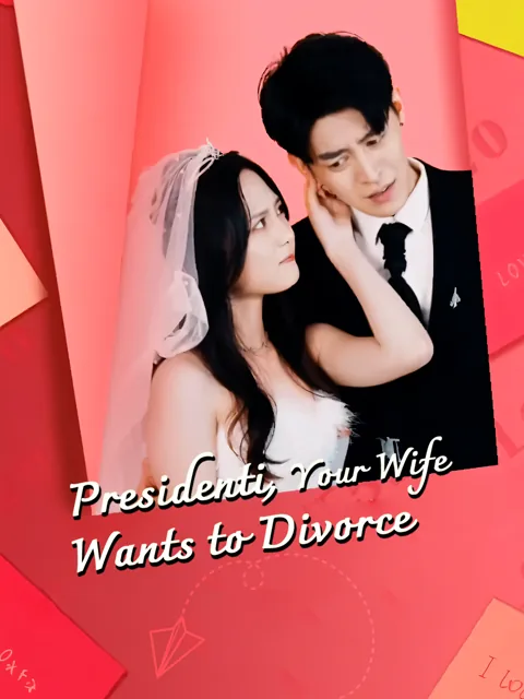 Presidenti, Your Wife Wants to Divorce poster
