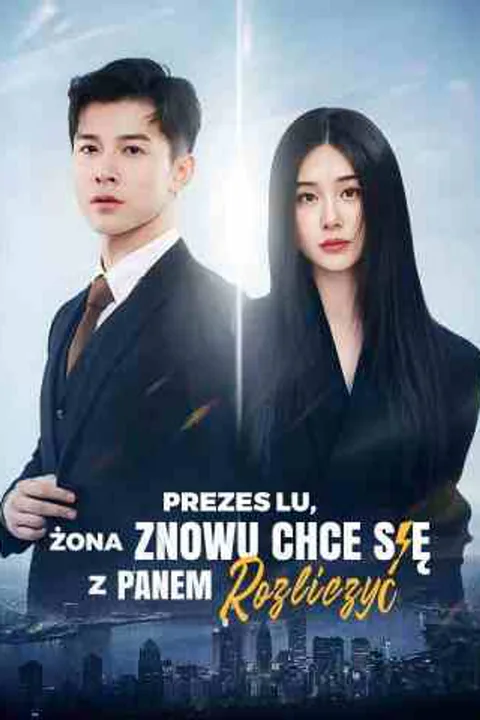 Prezes Lu, żona znowu chce się z panem rozliczyć – plakat