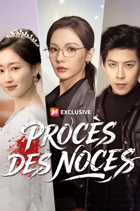 Affiche de Procès des noces
