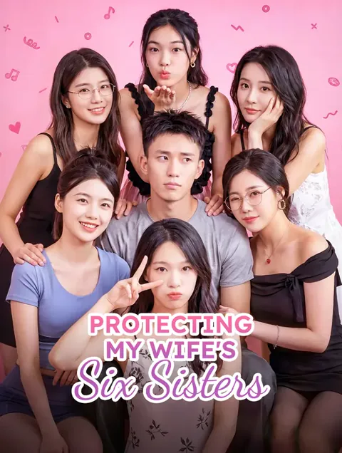 Protecting My Wife's Six Sisters poster