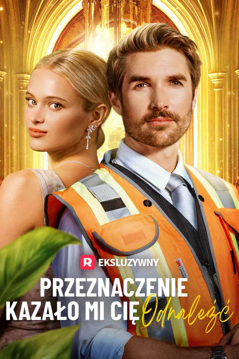 Przeznaczenie kazało mi cię odnaleźć – plakat