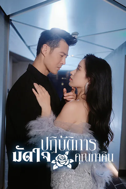 โปสเตอร์ ปฏิบัติการมัดใจคุณภาคิน