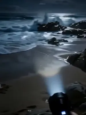 Pullu sevgilimin sırrı afişi