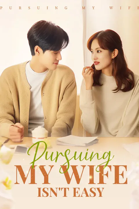 Pursuing My Wife Isn't Easy poster