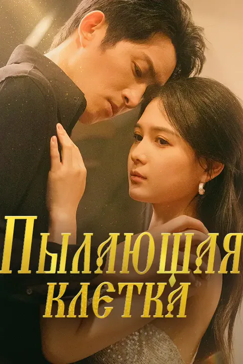 Постер «Пылающая клетка»