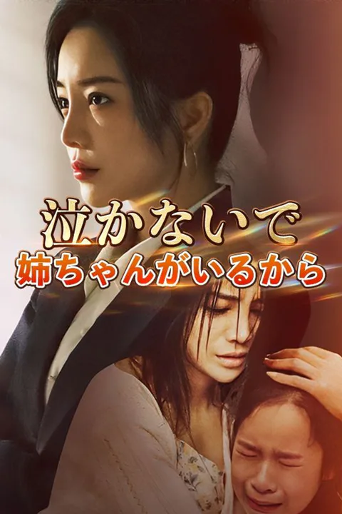 泣かないで、姉ちゃんがいるからのポスター