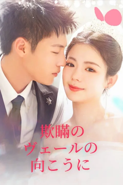 欺瞞のヴェールの向こうにのポスター
