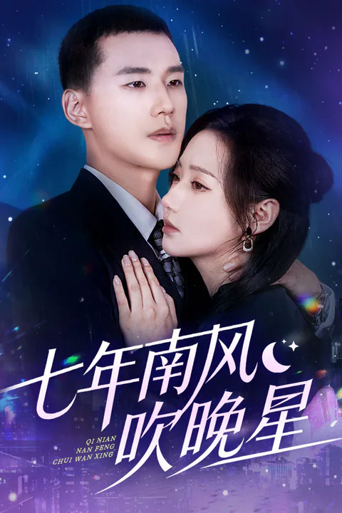 《七年南风吹晚星》海报