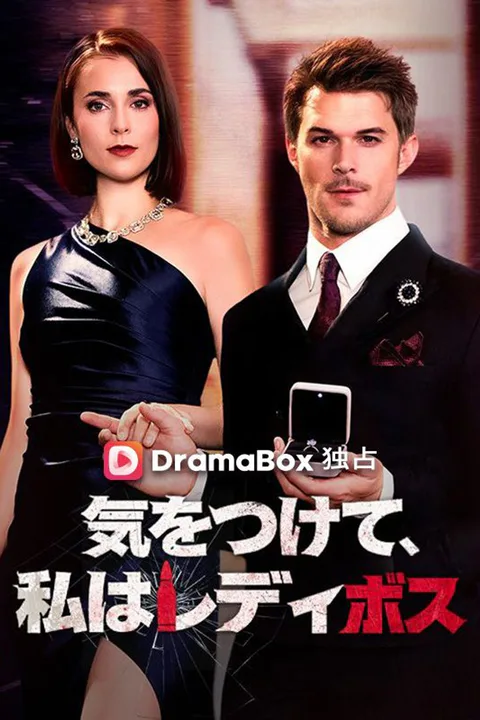 気をつけて、私はレディボスのポスター
