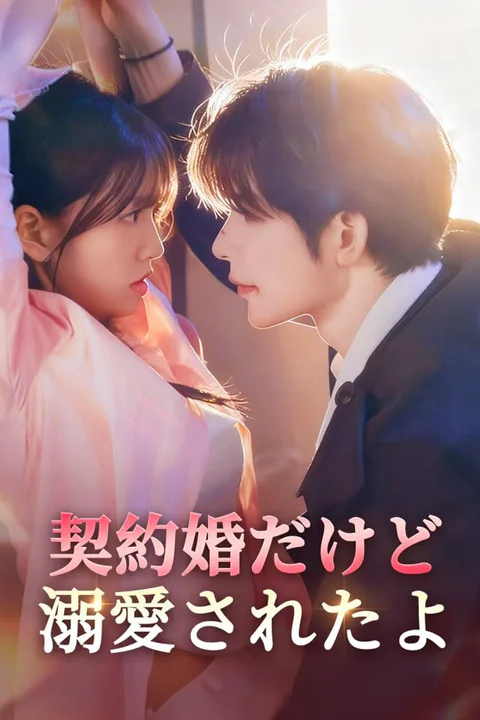 契約婚だけど、溺愛されたよのポスター