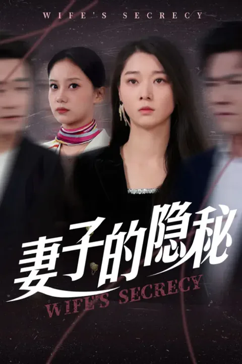《妻子的隐秘》海报