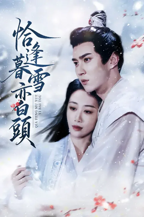 《恰逢暮雪亦白頭》海報