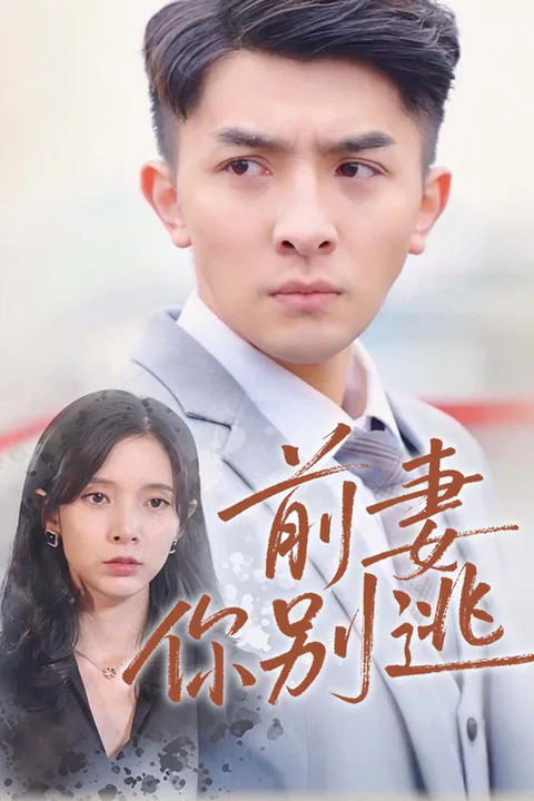 《前妻你别逃》海报