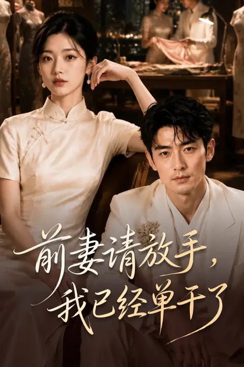《前妻请放手，我已经单干了》海报