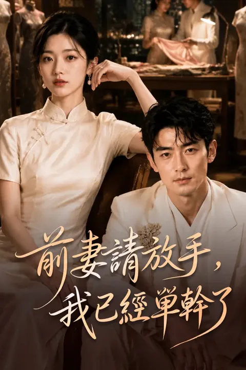 《前妻請放手，我已經單幹了》海報