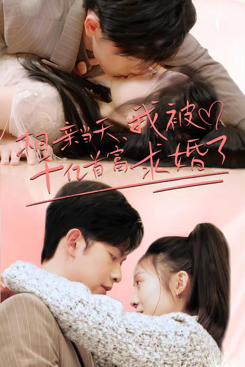 《千亿总裁向我求婚了》海报