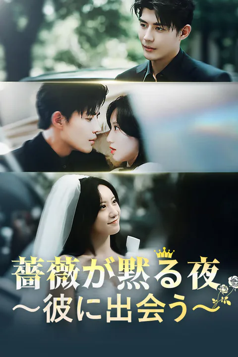 薔薇が黙る夜～彼に出会う～のポスター