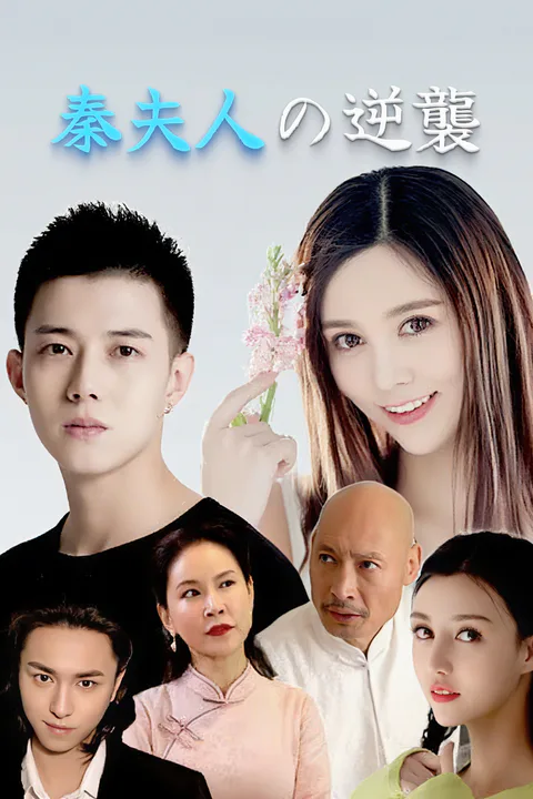 秦夫人の逆襲-1のポスター