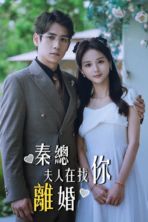 《秦總夫人在找你離婚》海報