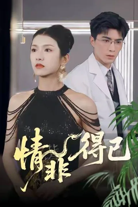 《情非得已》海報