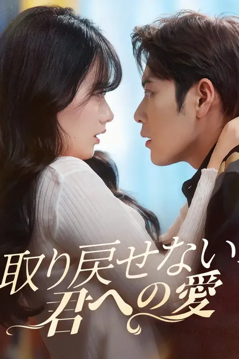 取り戻せない、君への愛のポスター