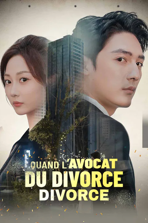 Affiche de Quand l’avocat du divorce divorce