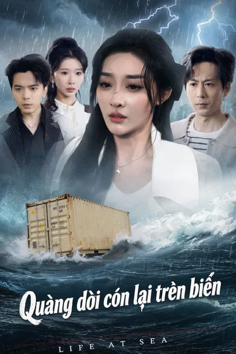 Poster Quãng đời còn lại trên biển