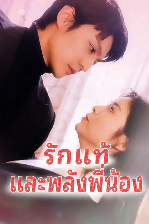 โปสเตอร์ รักแท้และพลังพี่น้อง