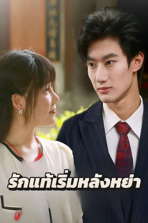 โปสเตอร์ รักแท้เริ่มหลังหย่า