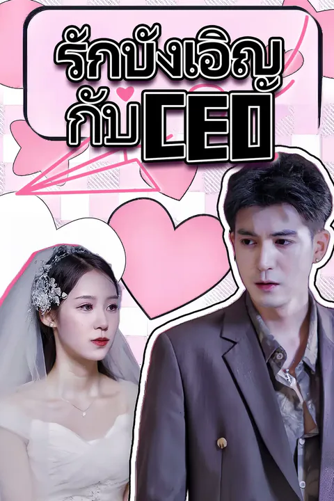 โปสเตอร์ รักบังเอิญกับ CEO