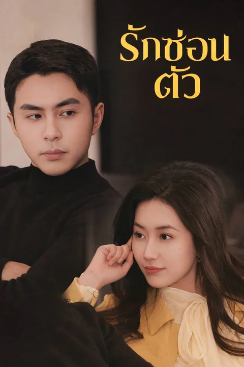 โปสเตอร์ รักซ่อนตัว