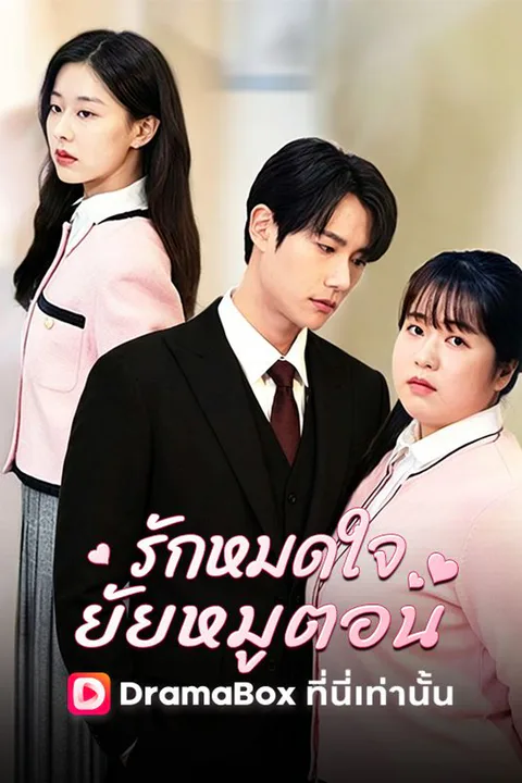 โปสเตอร์ รักหมดใจยัยหมูตอน