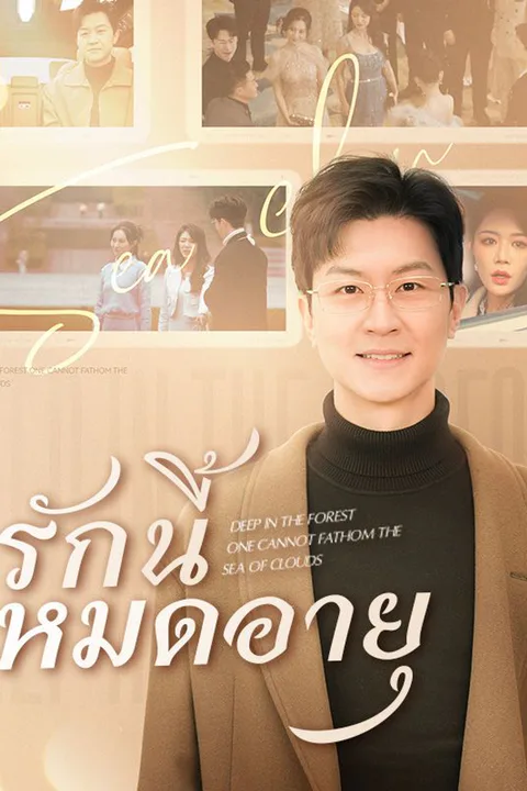 โปสเตอร์ รักนี้หมดอายุ