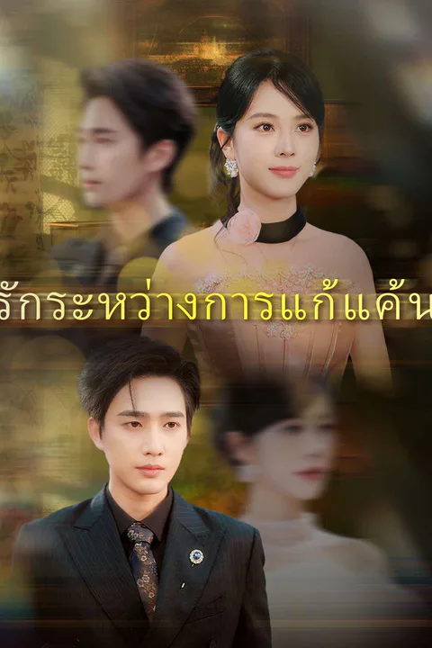 โปสเตอร์ รักระหว่างการแก้แค้น