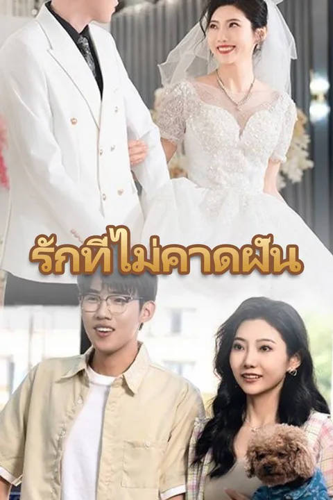 โปสเตอร์ รักที่ไม่คาดฝัน